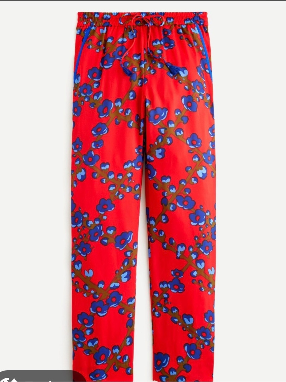 J. Crew Red and blue floral pants